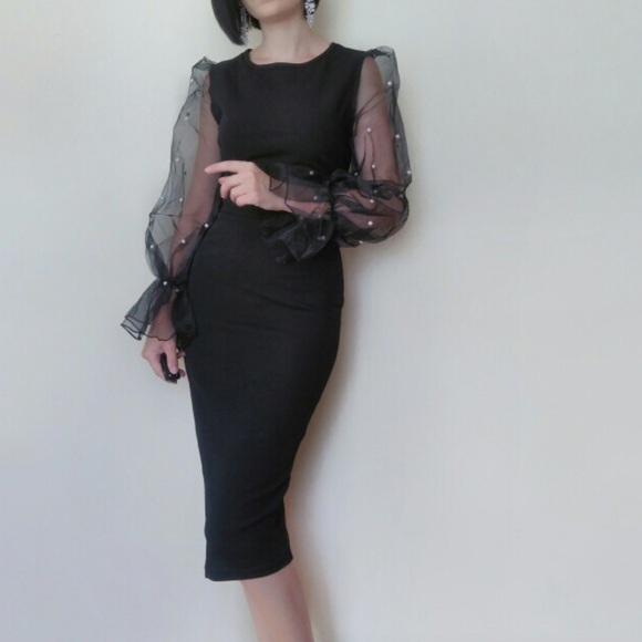 Elegant Midi Dress with Sheer Sleeves & Pearls - Picture 6 of 8